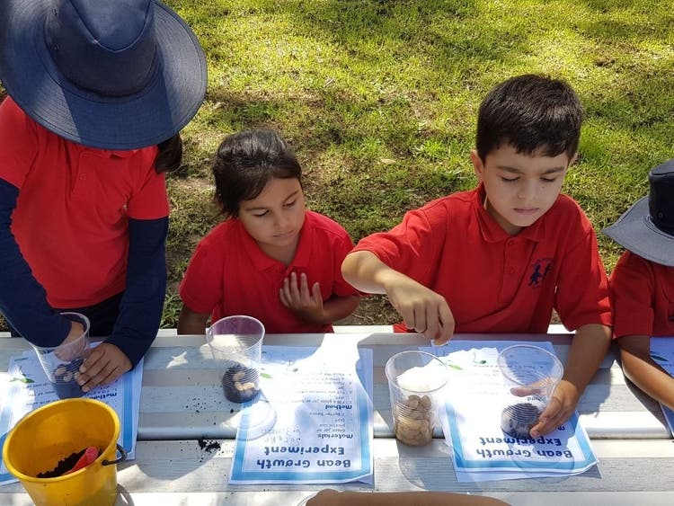Students engaged in a learning activity on outdoor tables.
